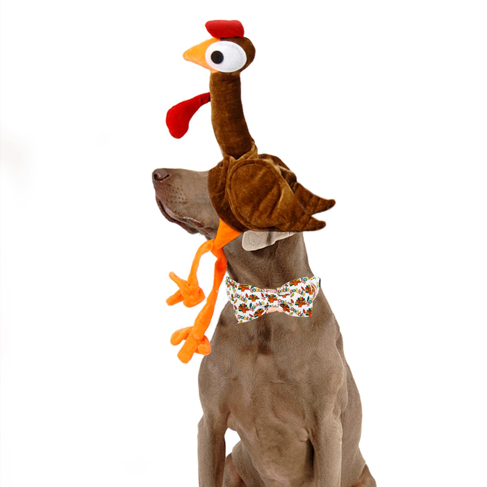 Elegant little tail Christmas collar on dog creates festive fashion for events.