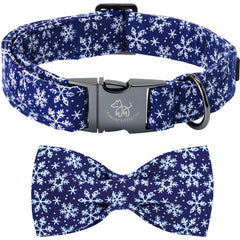 Elegant little tail Christmas collar with blue buckle on a small dog