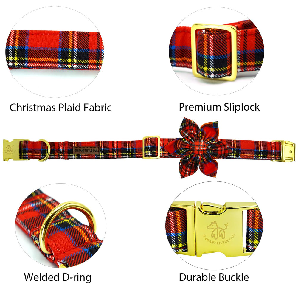 Elegant little tail collar with removable flower bow for versatile styling