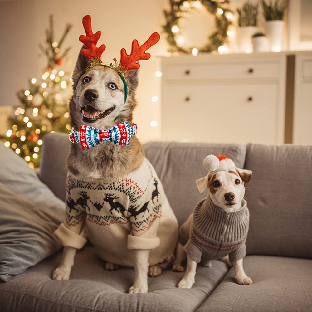 Elegant Little Tail Christmas Snow Dog Collar size guide image helps choose the right fit