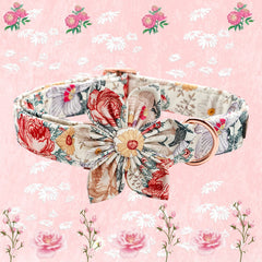 Elegant Little Tail 1.5-inch wide collar for comfortable wear.