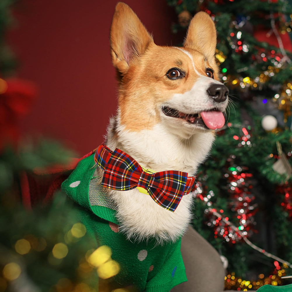 Elegant little tail collar care guide: gentle wash and air dry for lasting softness