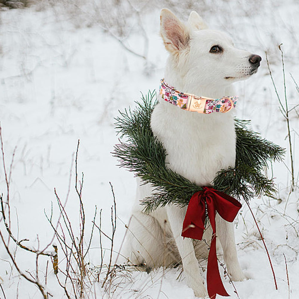 Elegant little tail collar patrón invierno, impresión de jengibre para perro