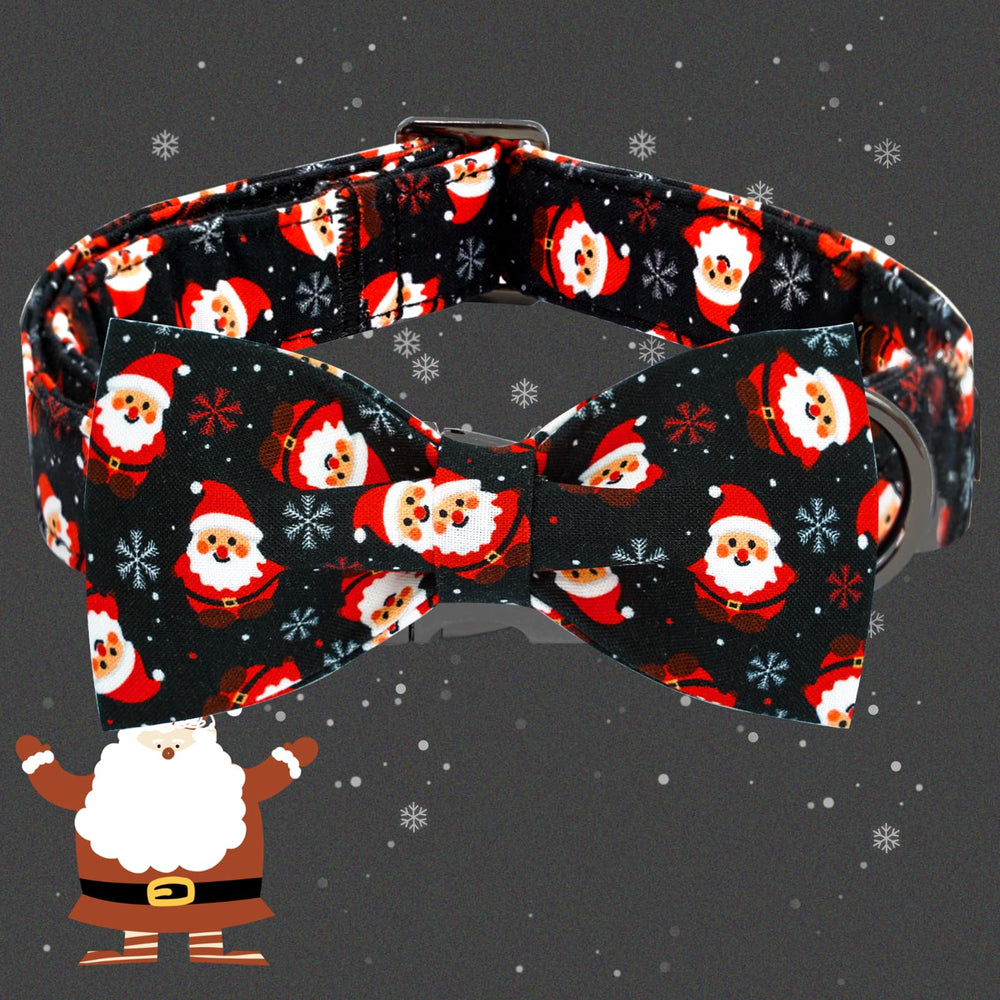 Elegant little tail cotton collar closeup emphasizing soft fabric and sturdy construction.