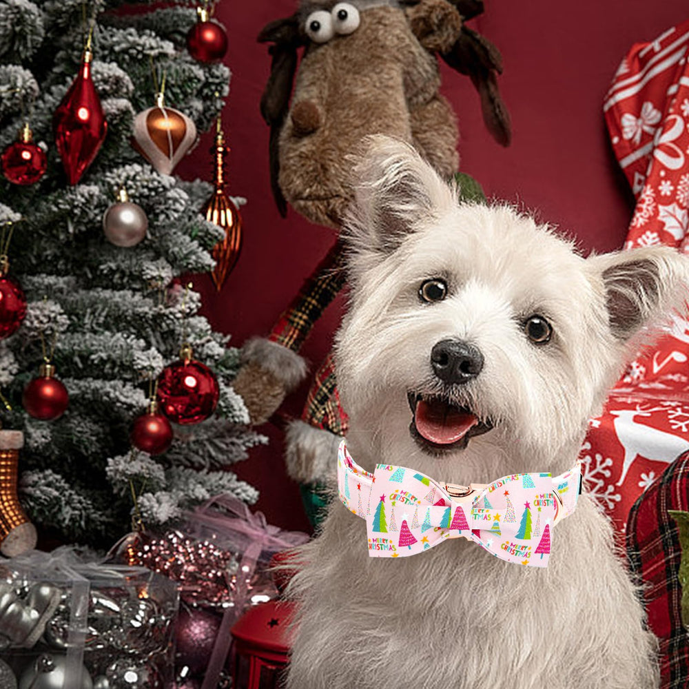 Elegant little tail-cotton-material-collar blends softness with durability for daily wear.