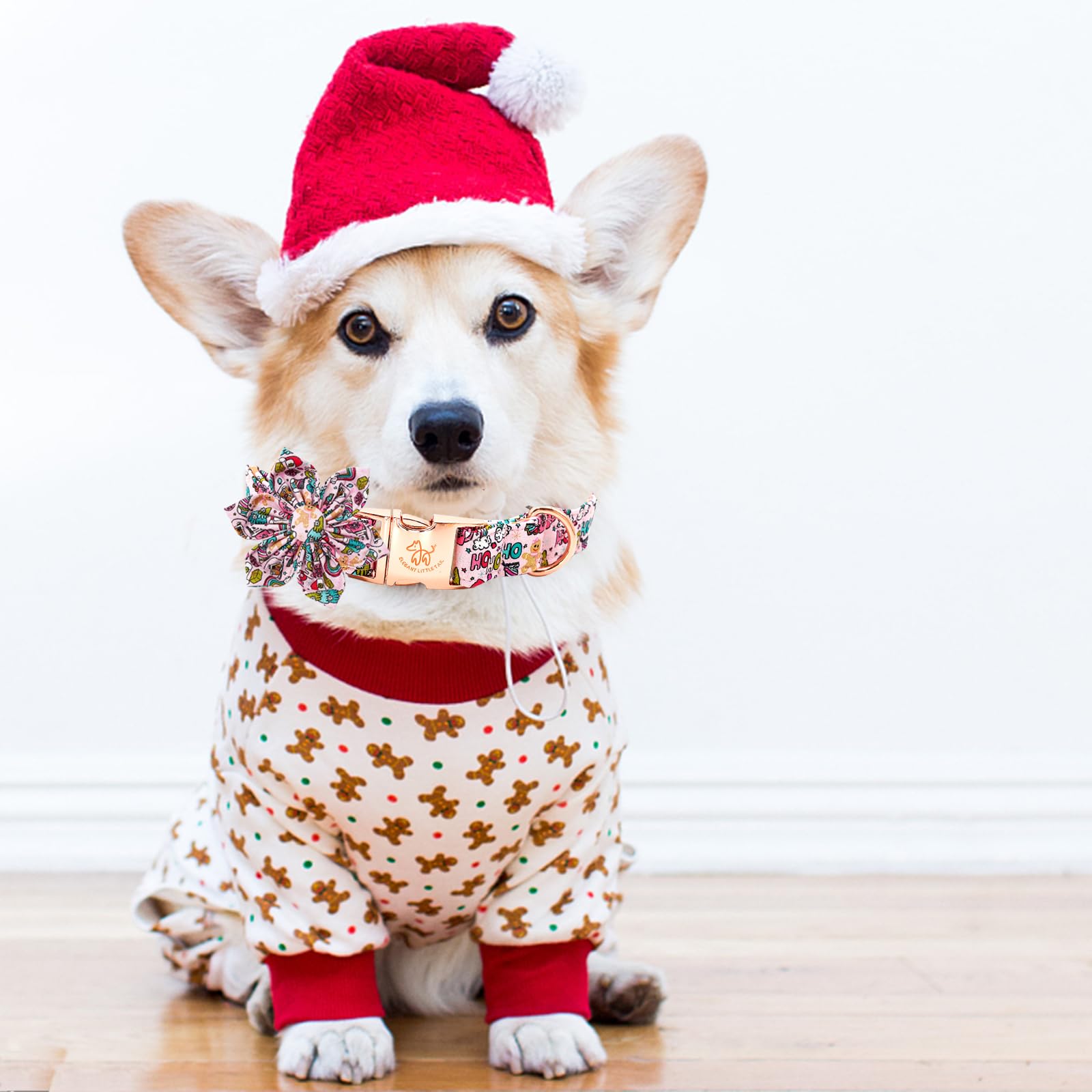 Elegant Little Tail autumn-themed dog collar offers warm style for outings