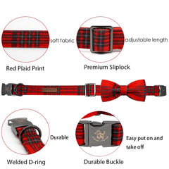 Elegant Little Tail XL buckle detail highlights sturdy hardware for everyday wear