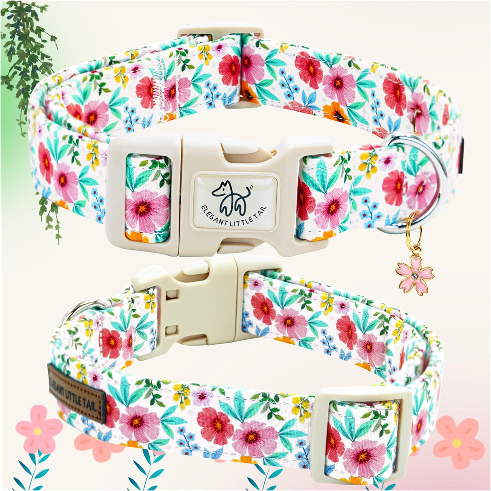 Elegant little tail collar with sturdy metal D-rings closeup, for secure, rust-free leash attachment.