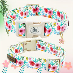 Elegant little tail collar with sturdy metal D-rings closeup, for secure, rust-free leash attachment.