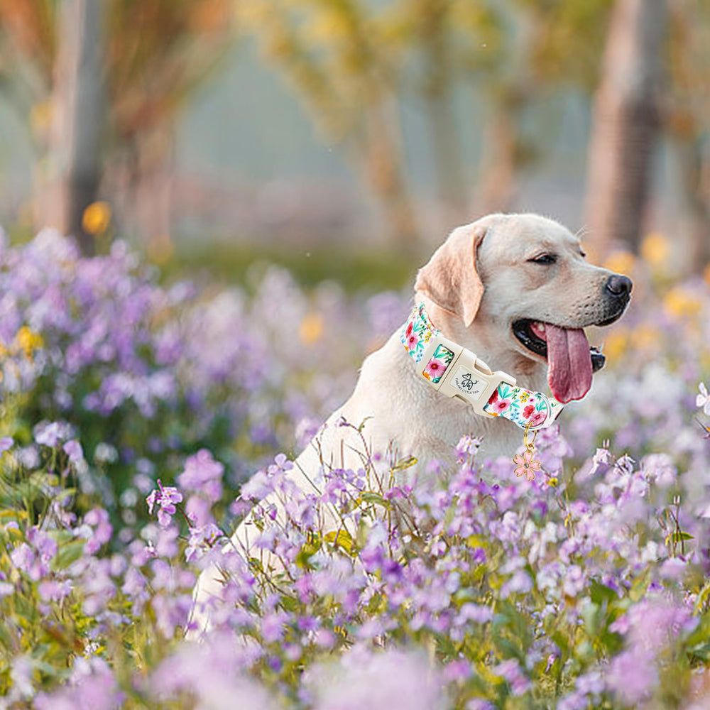 Elegant little tail pink floral on dog demonstrates stylish seasonal accessory.