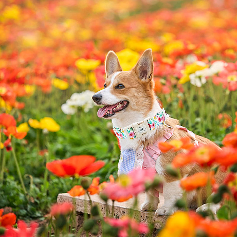Elegant little tail soft cotton material closeup emphasizes softness and durability.