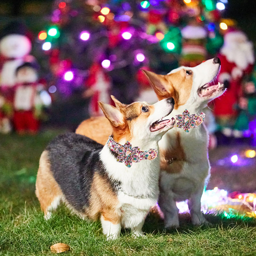 Elegant Little Tail winter-themed dog collar brings festive coziness to dogs