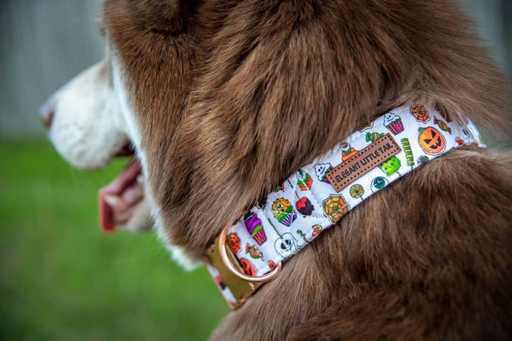 Elegant little tail durable stitch detail demonstrates reinforced seams for everyday wear.