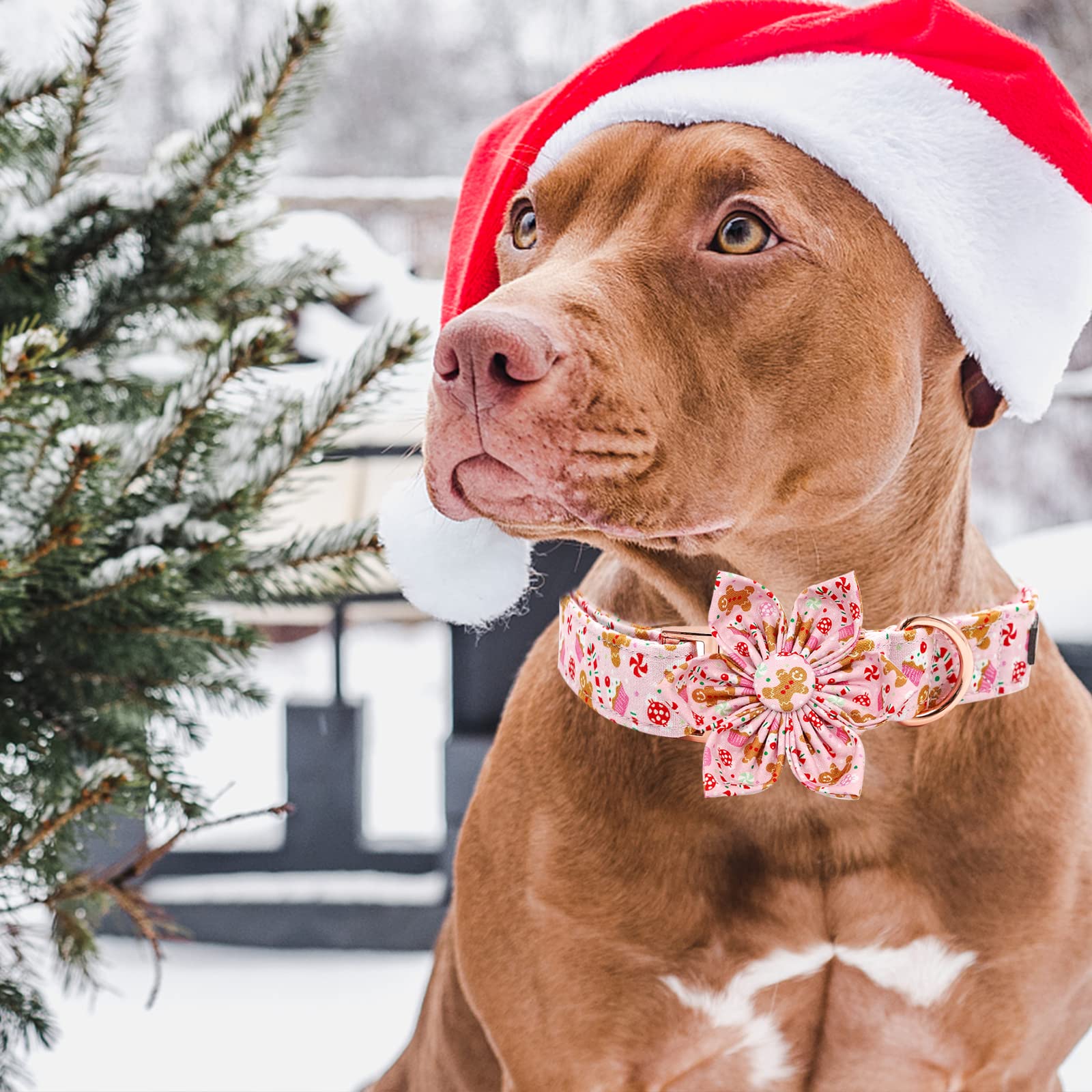 Elegant little tail floral bow detail on collar adds cute accent