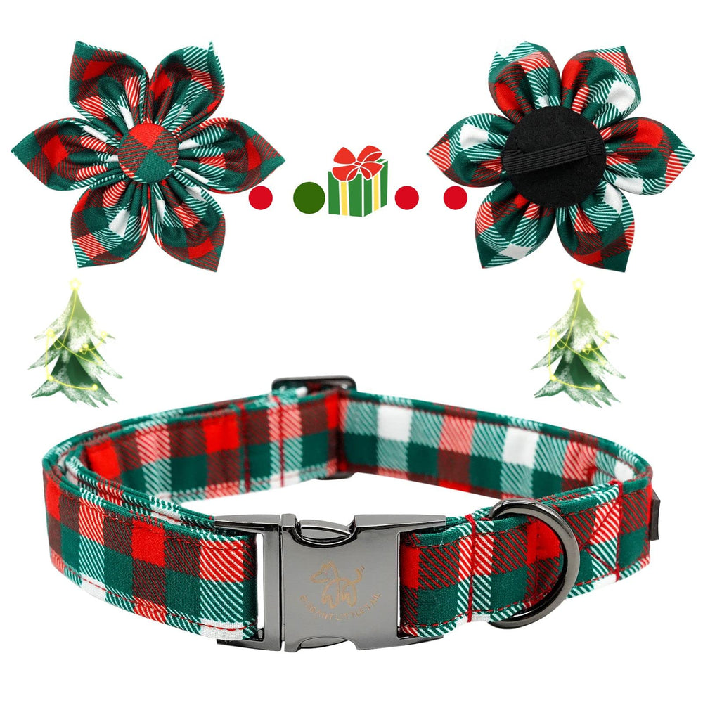 Elegant Little Tail collar neck compatibility 8-12 inches for a snug fit.