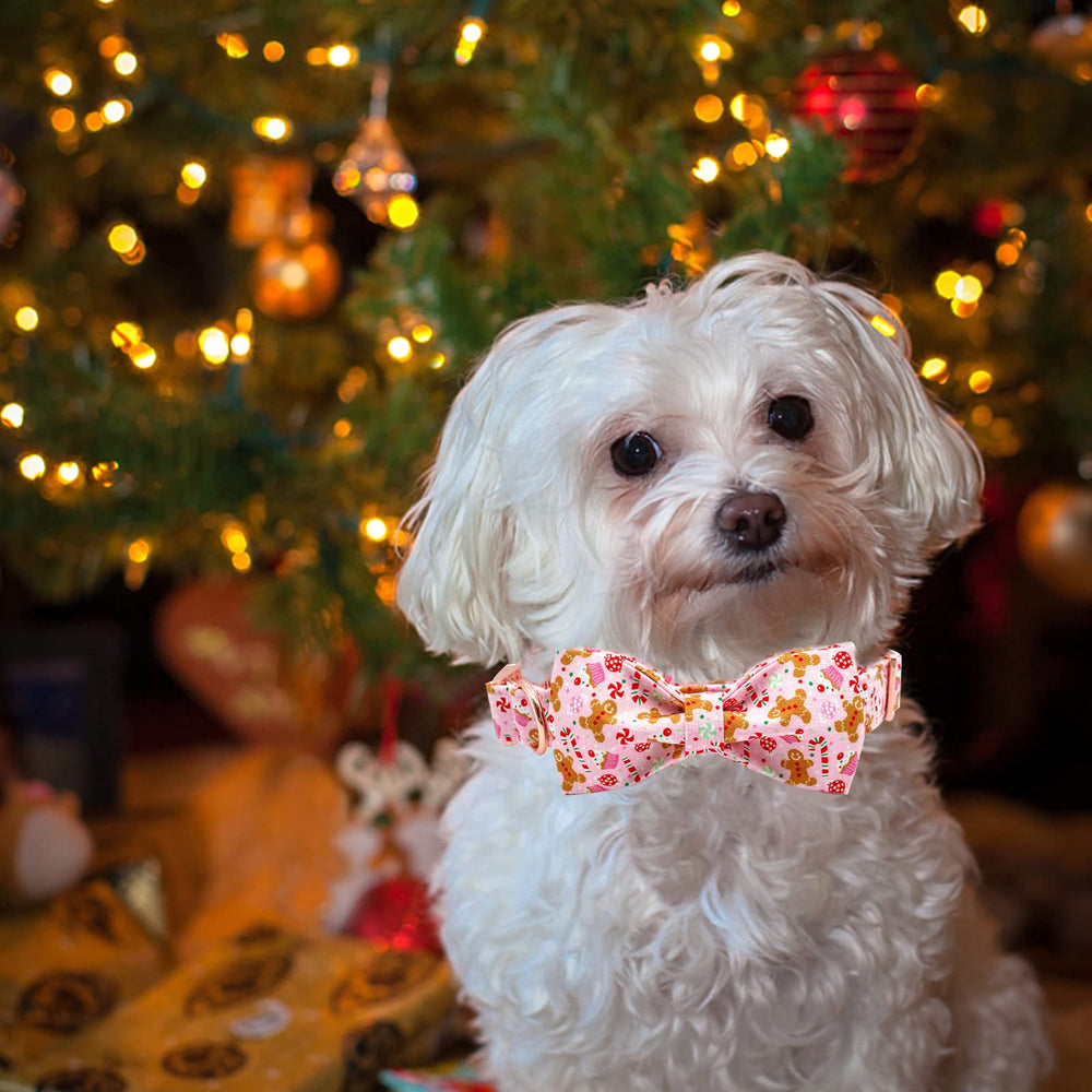 Elegant Little Tail Gingerbread Man collar medium size with neck measurement guidance.