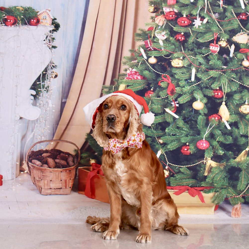 Elegant Little Tail Gingerbread Man collar care guide with warm water and mild soap.