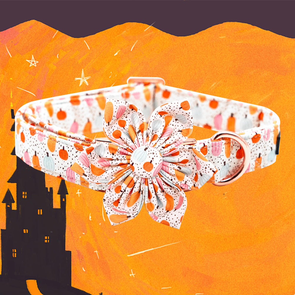 Elegant Little Tail Halloween dog collar flower removable demonstrates versatile styling.