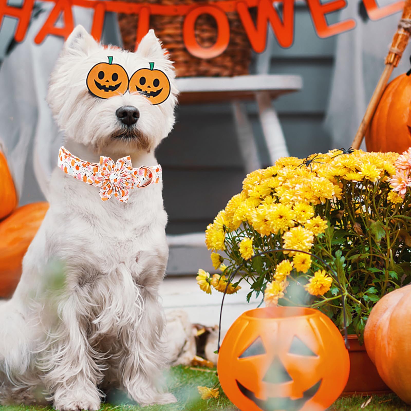 Elegant Little Tail Halloween dog collar neck measurement guide helps find the perfect fit.