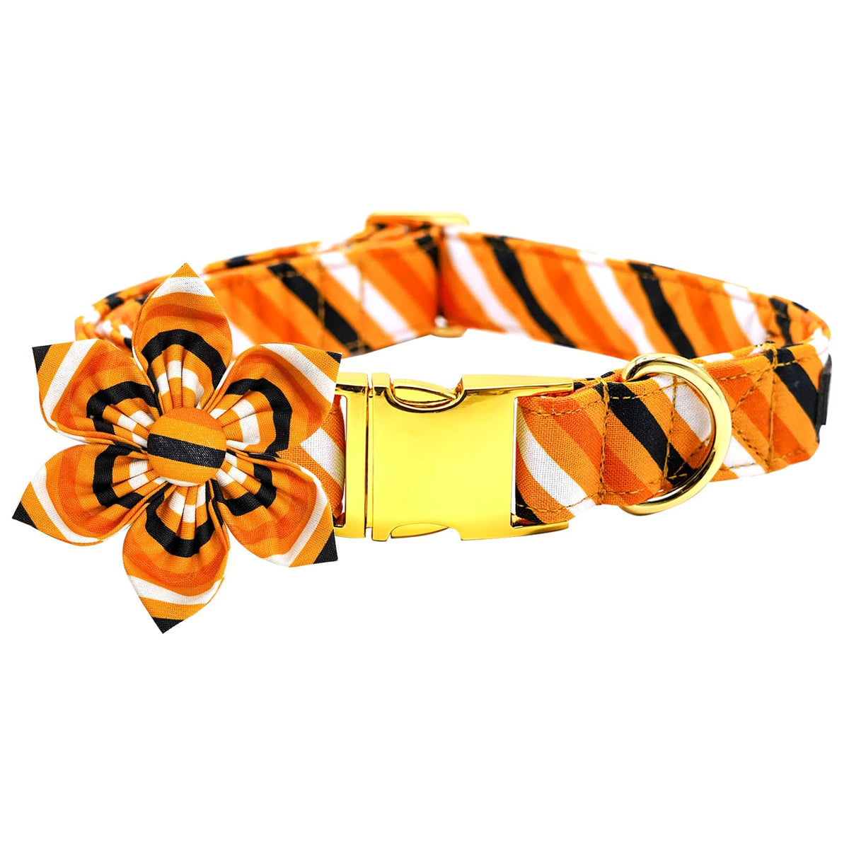 Elegant Little Tail Halloween dog collar with orange stripe on small dog for seasonal style.
