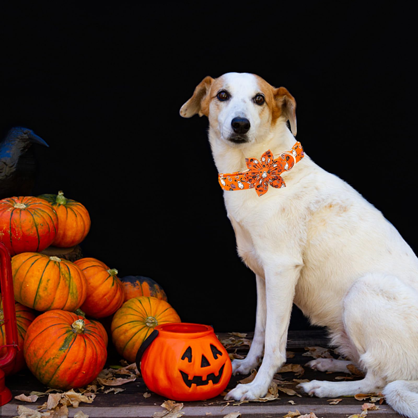 Elegant Little Tail Halloween collar uses premium cotton and sturdy webbing for durable wear.