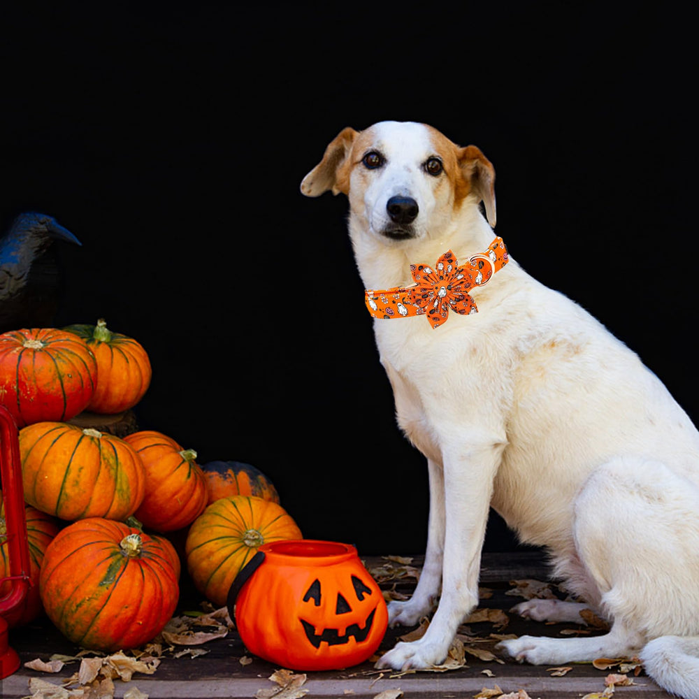 Elegant Little Tail Halloween collar uses premium cotton and sturdy webbing for durable wear.