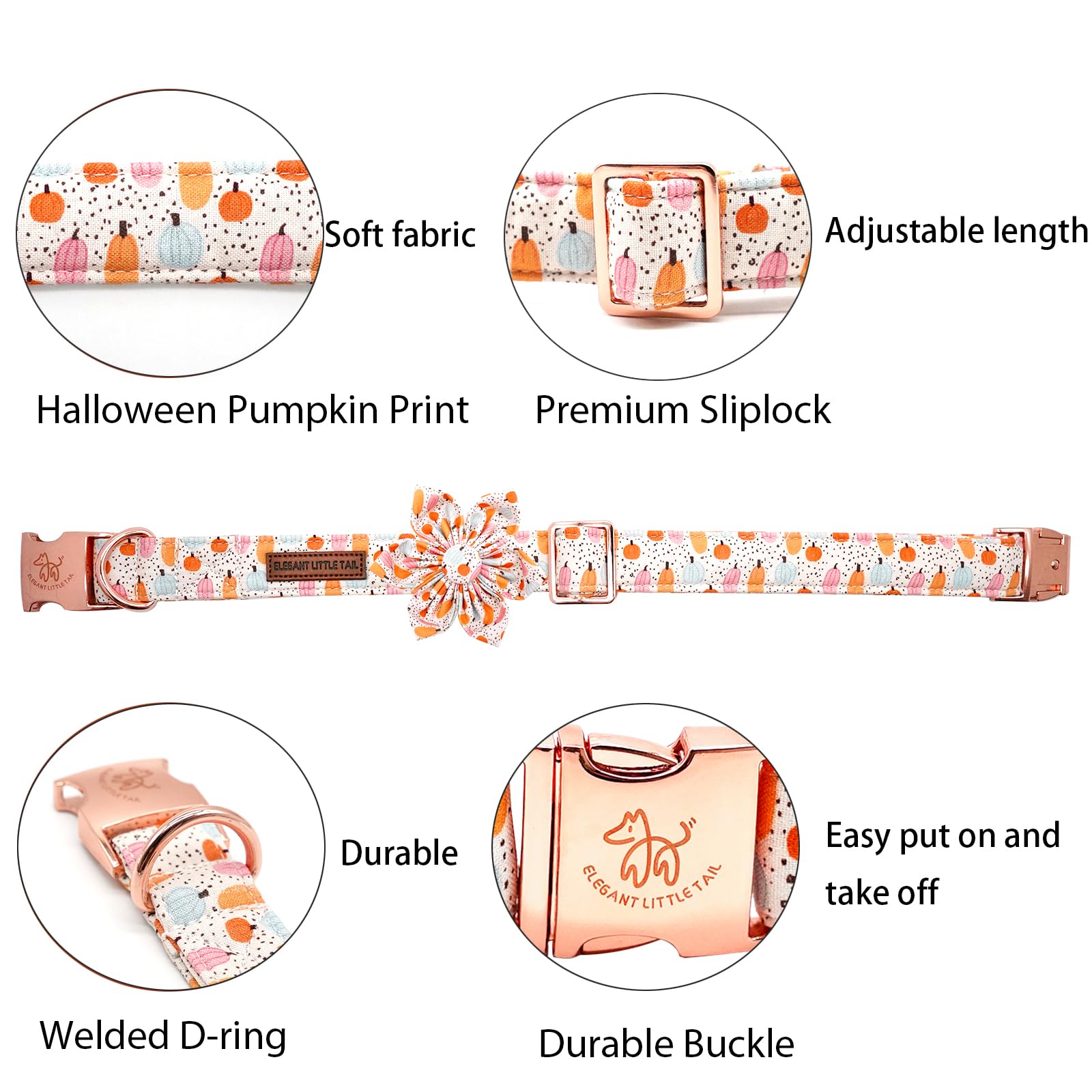 Elegant Little Tail Halloween dog collar on dog with pumpkin motif for festive photos.