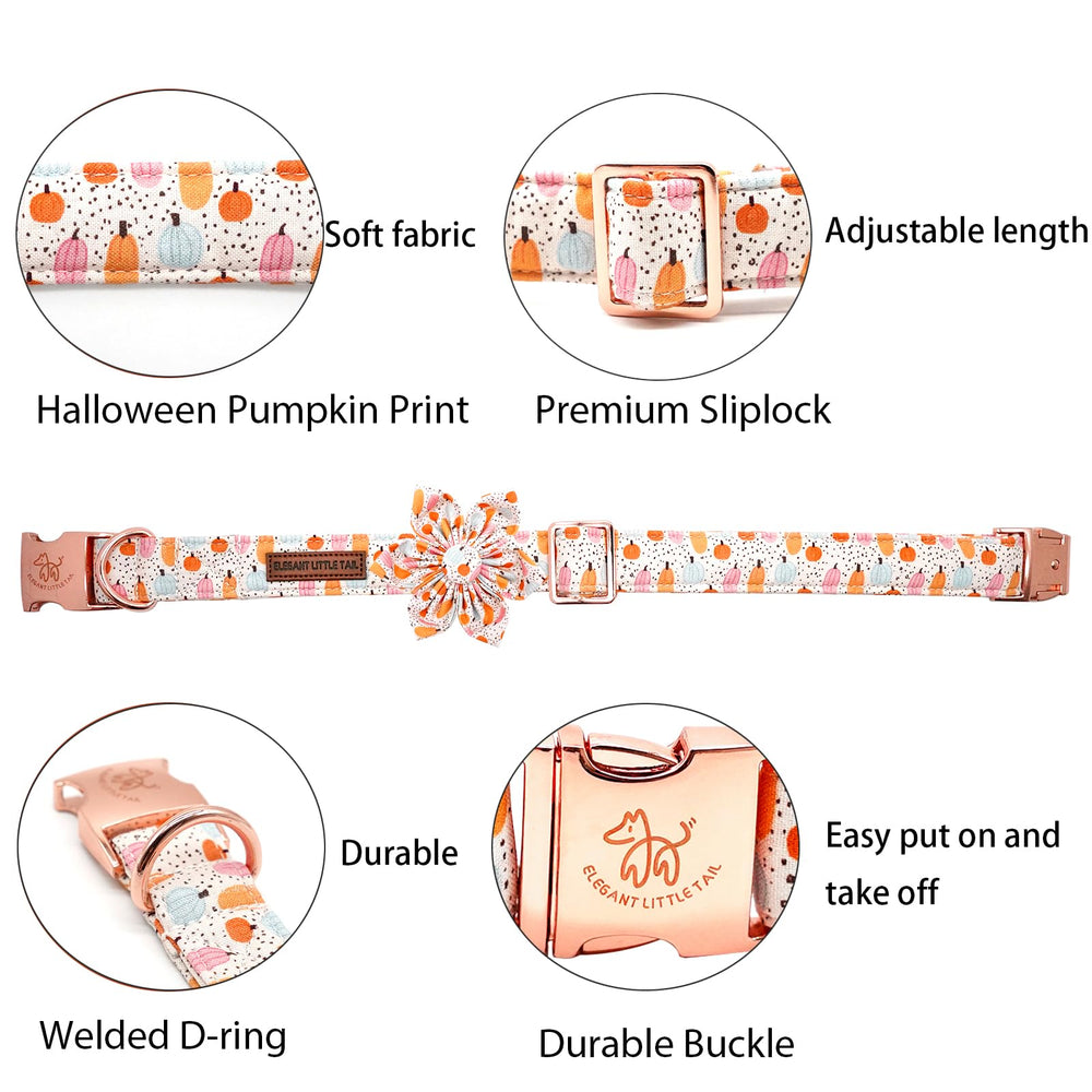Elegant Little Tail Halloween dog collar on dog with pumpkin motif for festive photos.