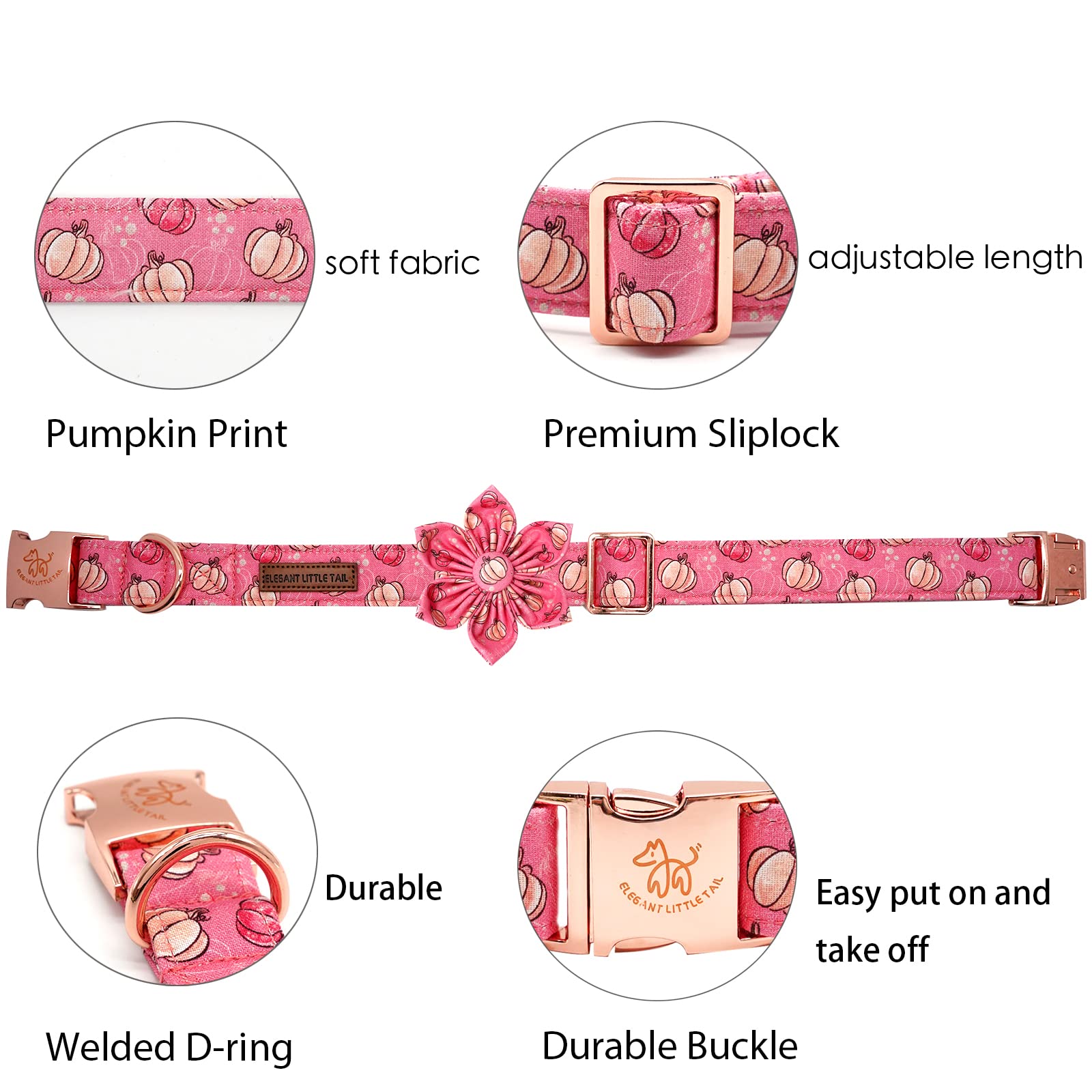 Elegant Little Tail Halloween pumpkin collar accent for seasonal festive photos.