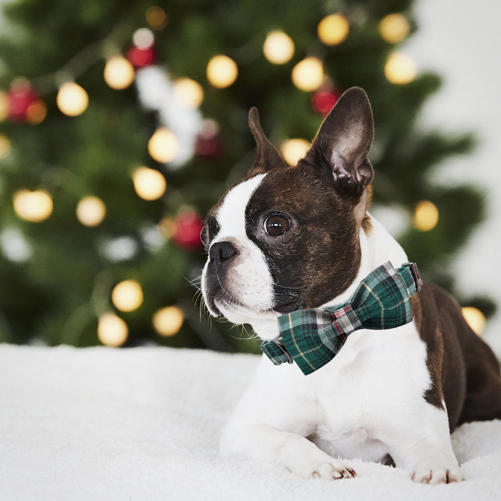 Elegant Little Tail handmade bowtie detail adds charm and secure attachment