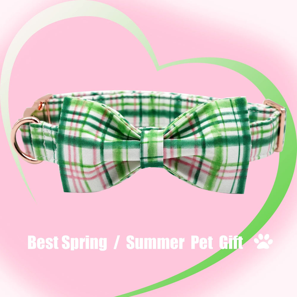 Elegant Little Tail durable collar with sturdy buckle for daily wear.