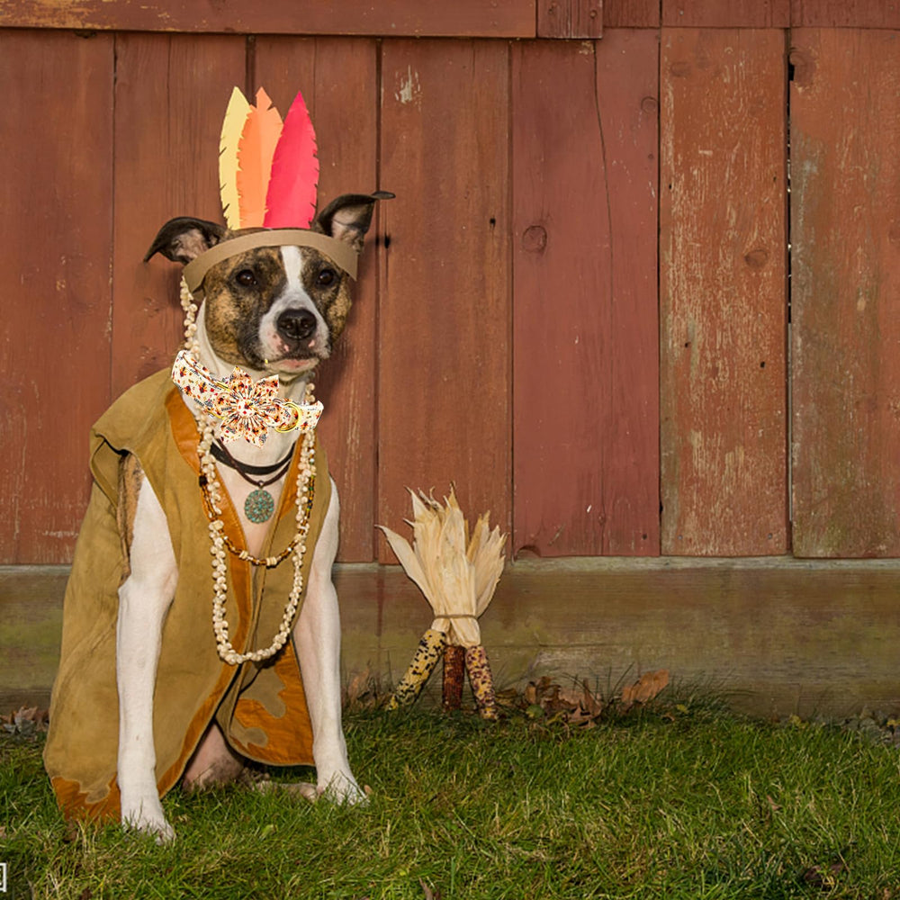 Elegant little tail holiday-ready pup style with flower accent.