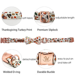 Elegant Little Tail medium dog collar—1 inch width for comfortable everyday wear.