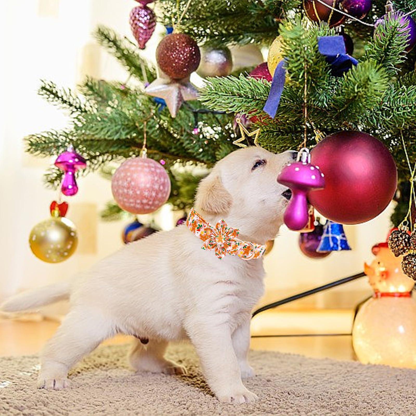 Elegant little tail adjustable collar fits 16-24 inch necks for growing dogs.