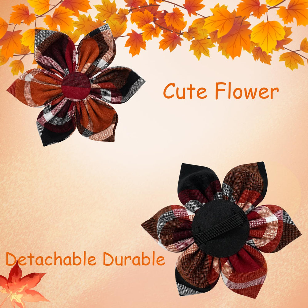 Elegant Little Tail one-inch width collar designed for a secure fit