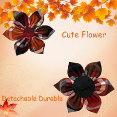 Elegant Little Tail one-inch width collar designed for a secure fit
