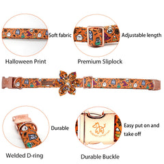 Elegant Little Tail orange pumpkin collar close-up on dog for festive autumn look