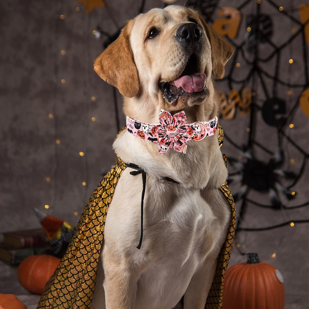 Elegant little tail premium-cotton-material collar emphasizes skin-friendly fabric.