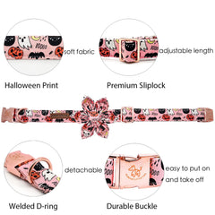 Elegant little tail pumpkin-fall-collar worn by a dog for festive Halloween style.