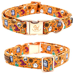 Elegant Little Tail removable flower on pumpkin collar for quick style changes