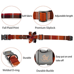 Elegant Little Tail removable flower decor with elastic loop attached to collar