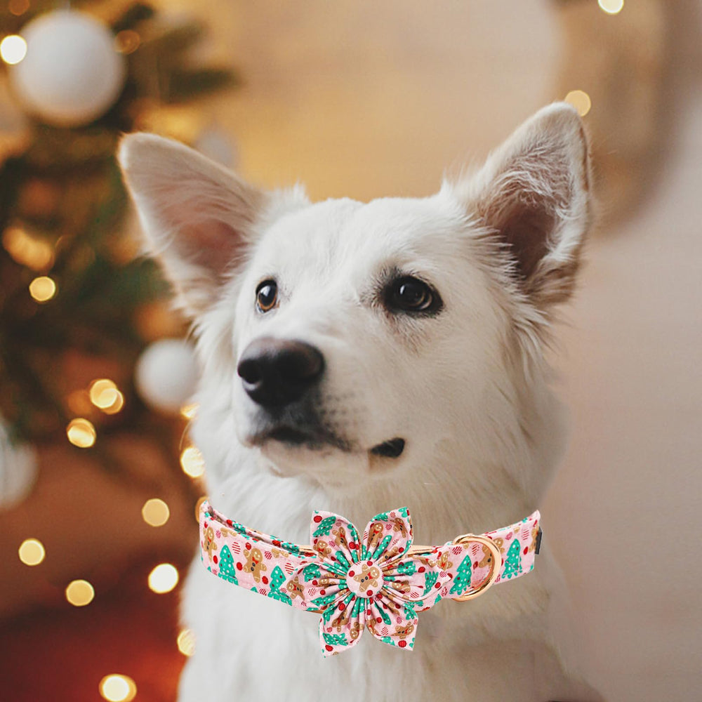 Elegant Little Tail seasonal pattern collar for year-round outfits