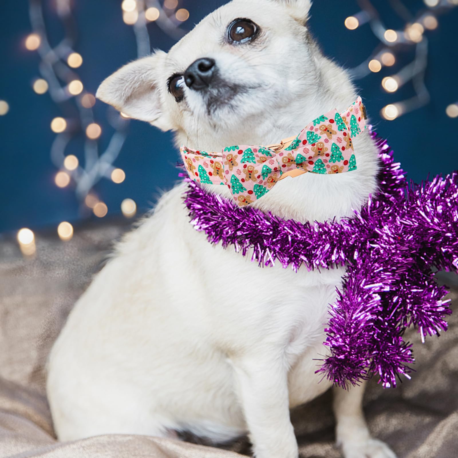 Elegant Little Tail size-chart friendly collar available XS to XL for precise fit.