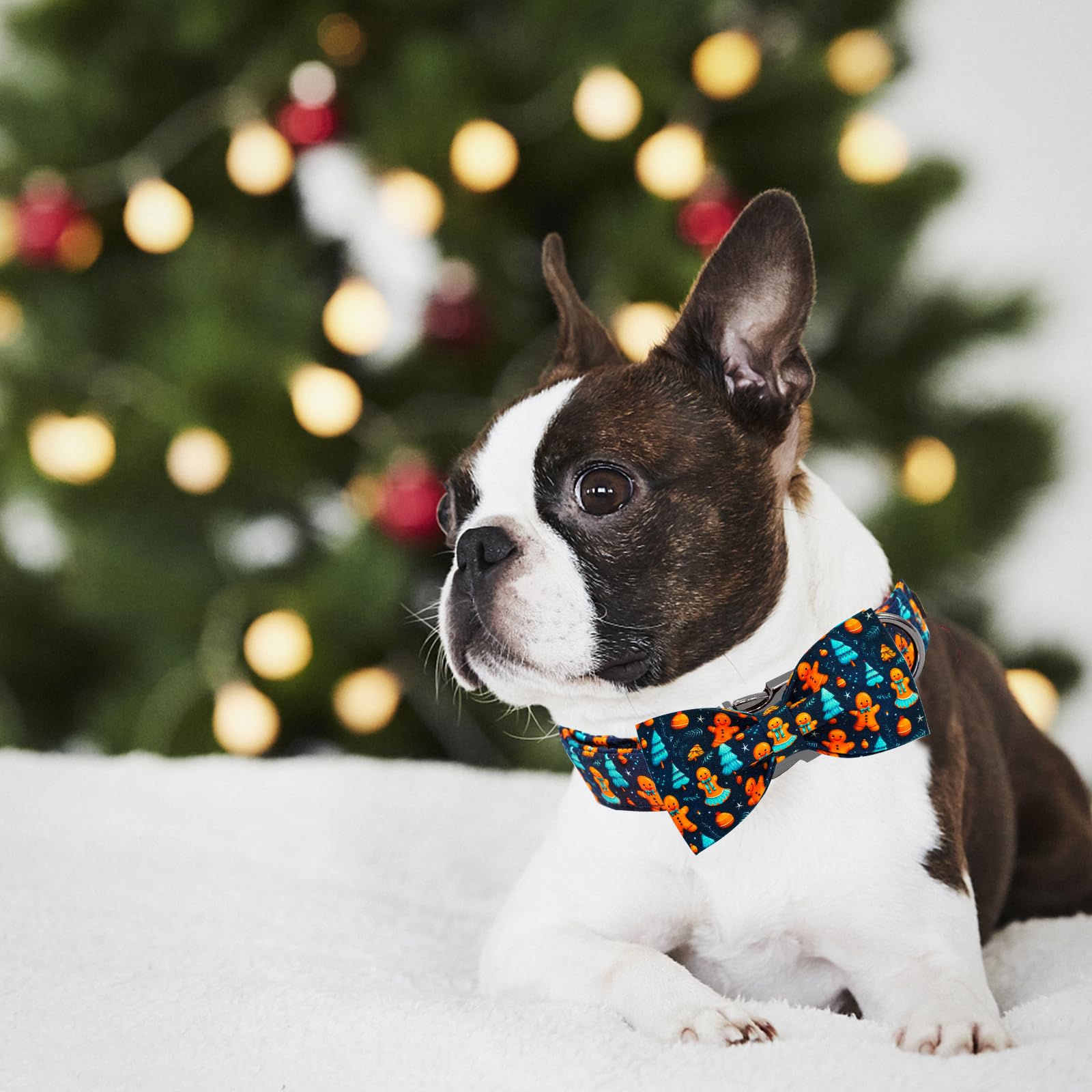 Elegant little tail size measurement guide helps choose the right fit