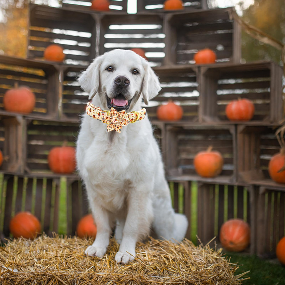 Elegant little tail sizing guide helps achieve a secure neck fit.