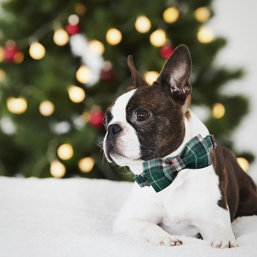 Elegant little tail soft cotton fabric delivers gentle, skin-friendly comfort