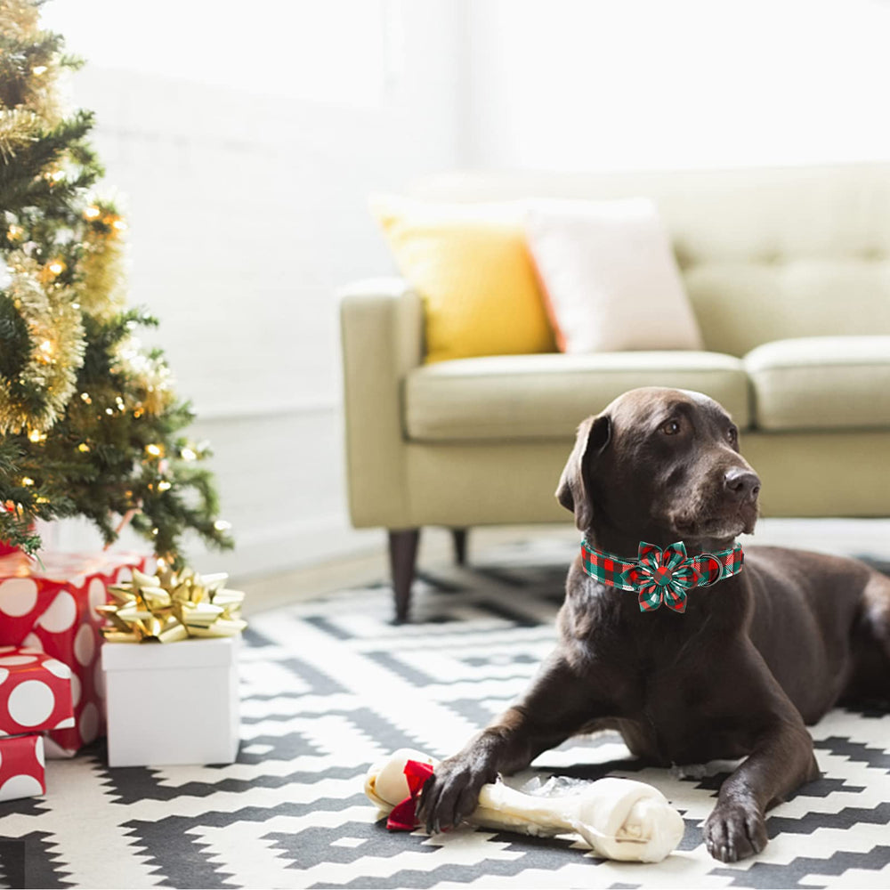 Elegant Little Tail stress-point double-stitched design ensures durability during walks
