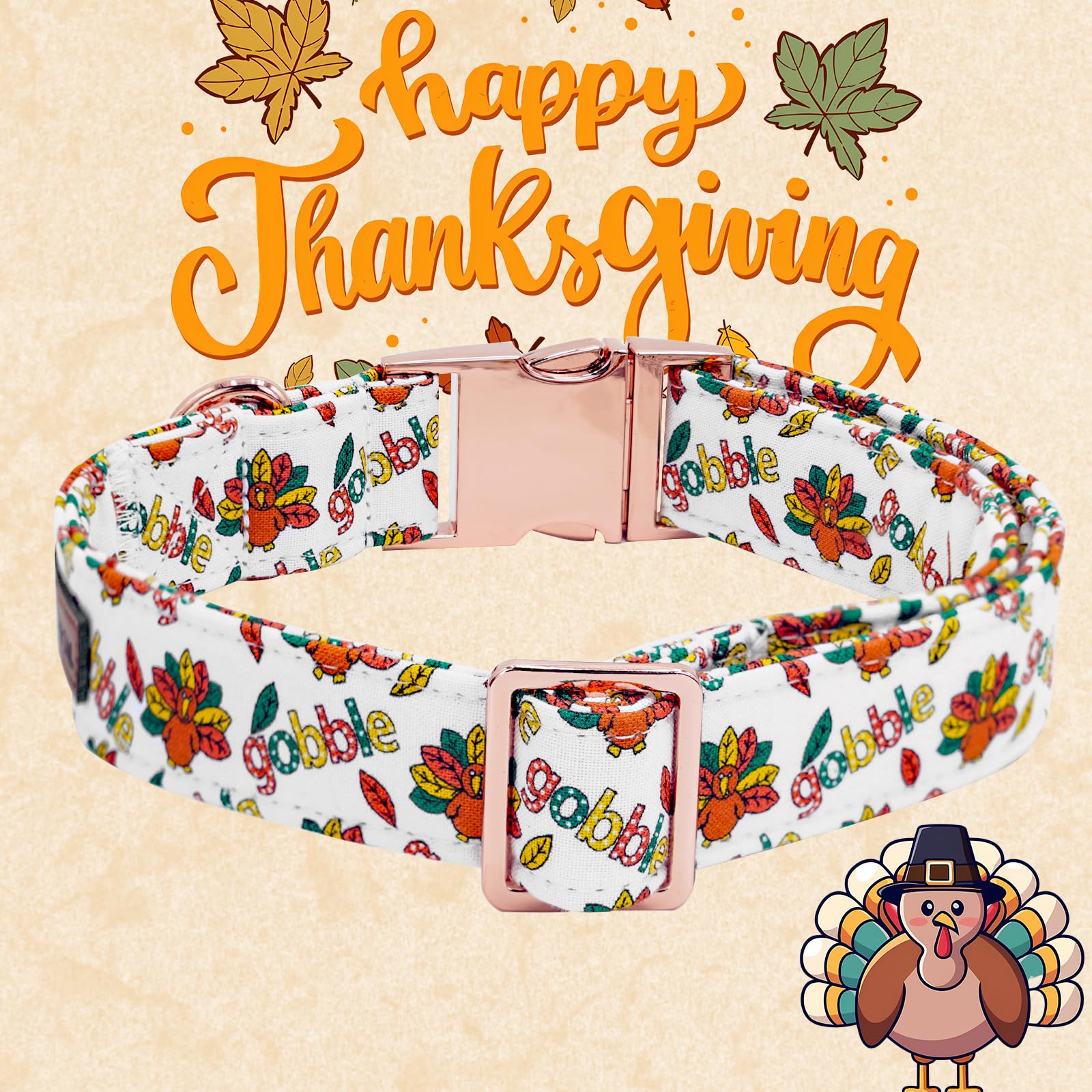 Elegant little tail double-box stitched collar highlights durable stress-point construction