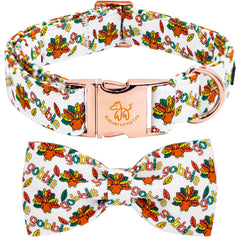 Elegant little tail Thanksgiving dog collar red bow for festive holiday photos.