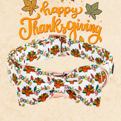 Elegant little tail Thanksgiving dog collar features welded D-ring for sturdy leash attachment.